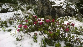 IMG-20160716-WA0002.jpg